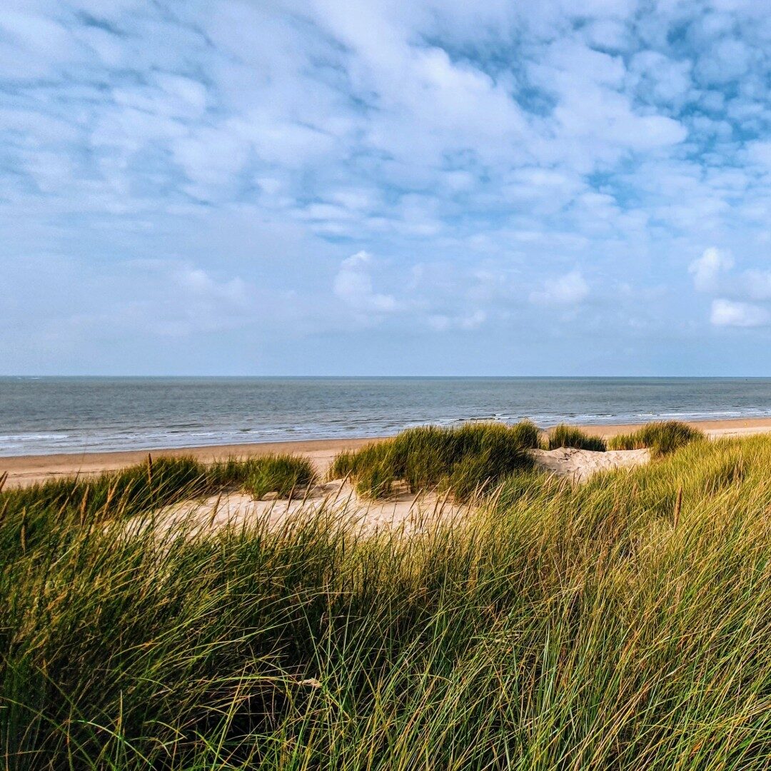Texel