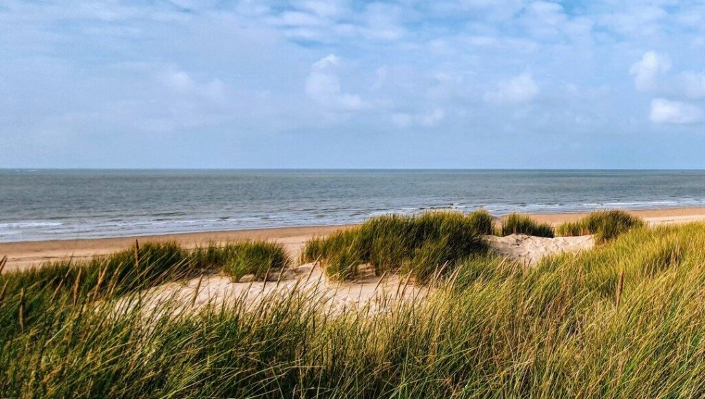 Texel